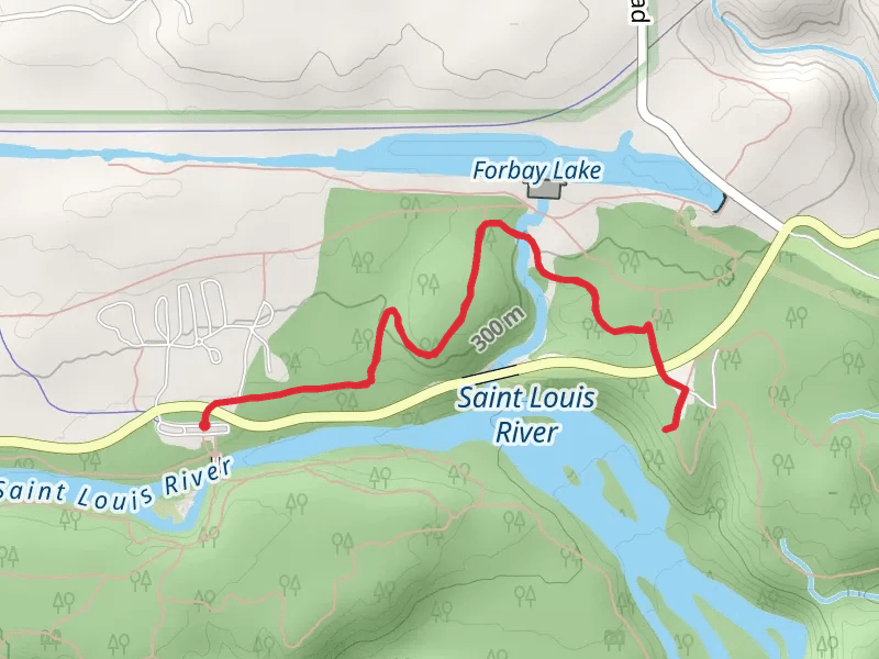 White Pine Trail - Jay Cooke State Park