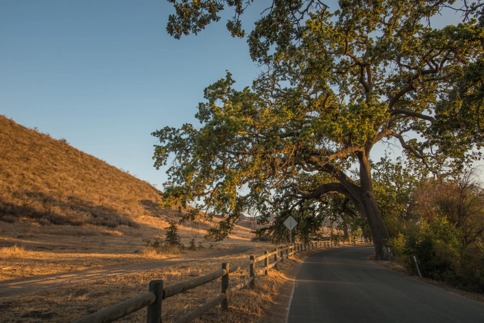 An image depicting the trail Cheeseboro Ridge Trail and its surrounding area.