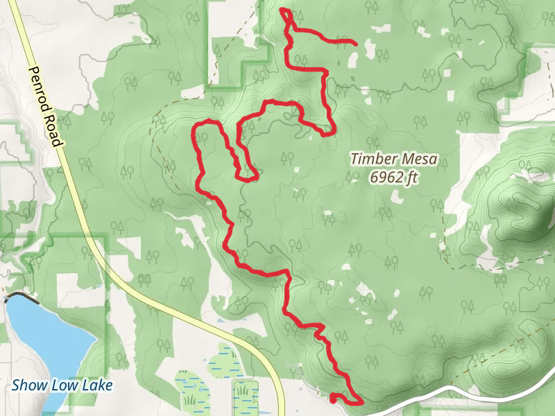 Porter Mountain Scenic Vista via Timber Mesa Trail