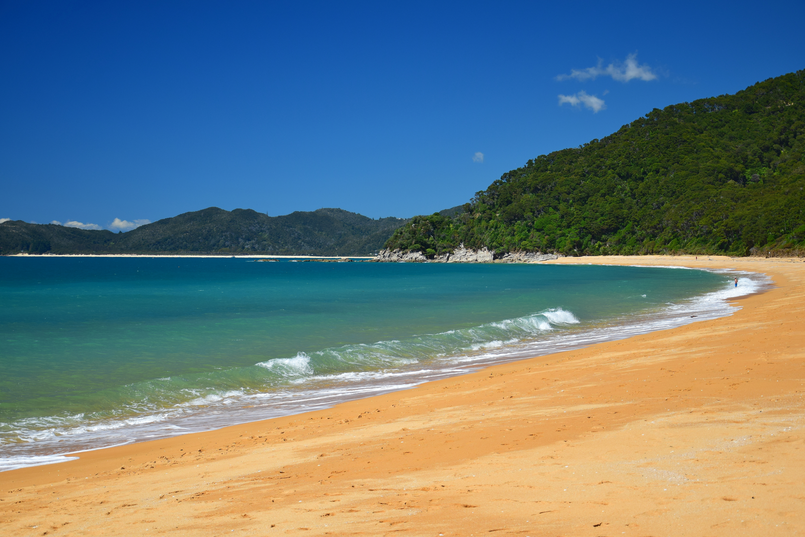 An image depicting the trail Totaranui Beach Track to Waiharakeke Bay and its surrounding area.