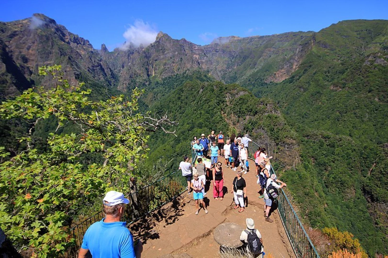 An image depicting the trail PR 11 Vereda dos Balcões and its surrounding area.