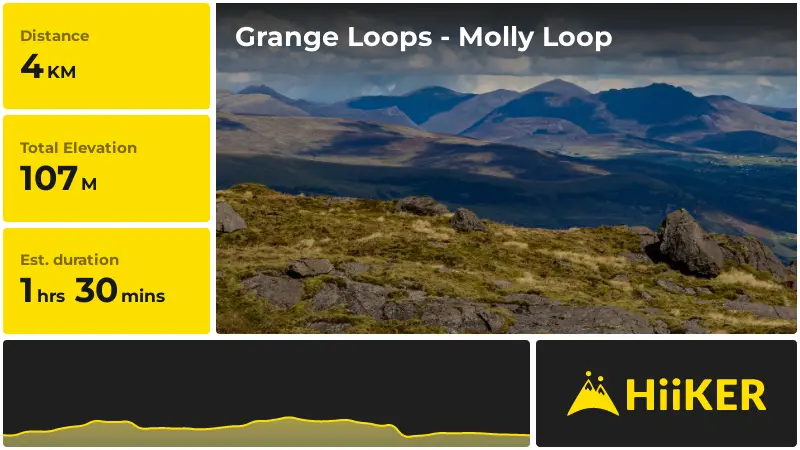 | Grange Loops - Molly Loop