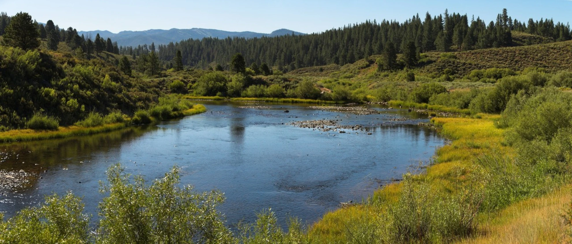 An image depicting the trail Prosser Creek Walk from Hobart Mills Road and its surrounding area.