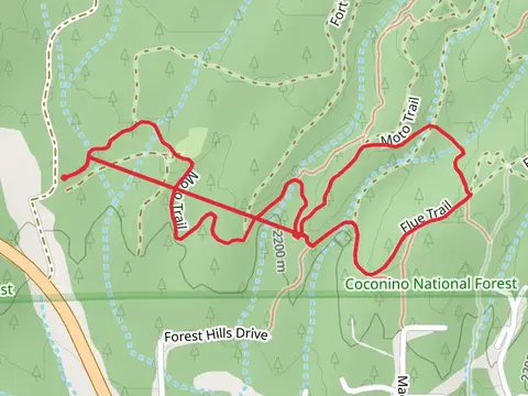 Moto and Flue Trail