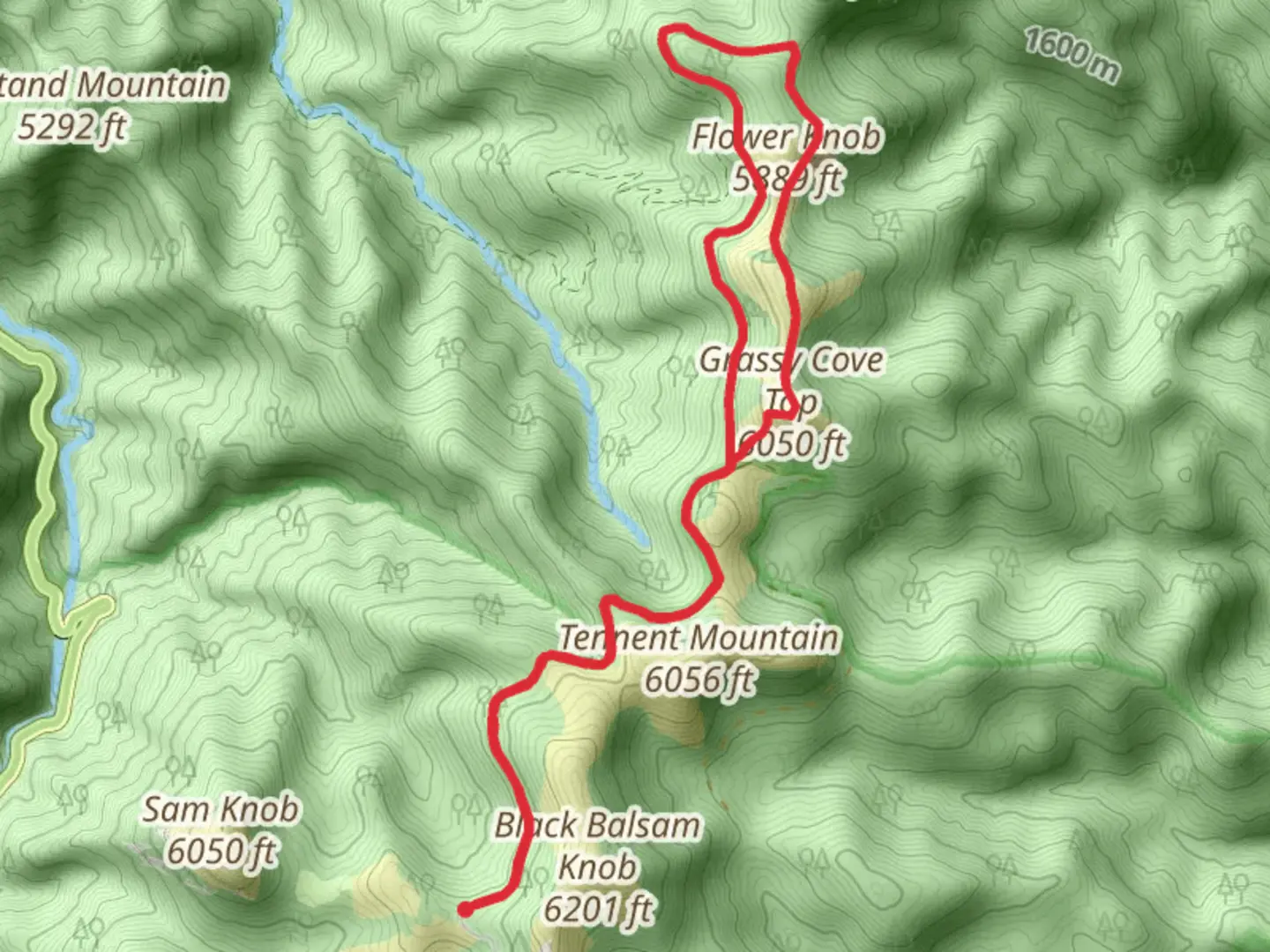 An image depicting the trail Greasy Cove Top and Flower Knob Loop via Ivestor Gap Trail and its surrounding area.