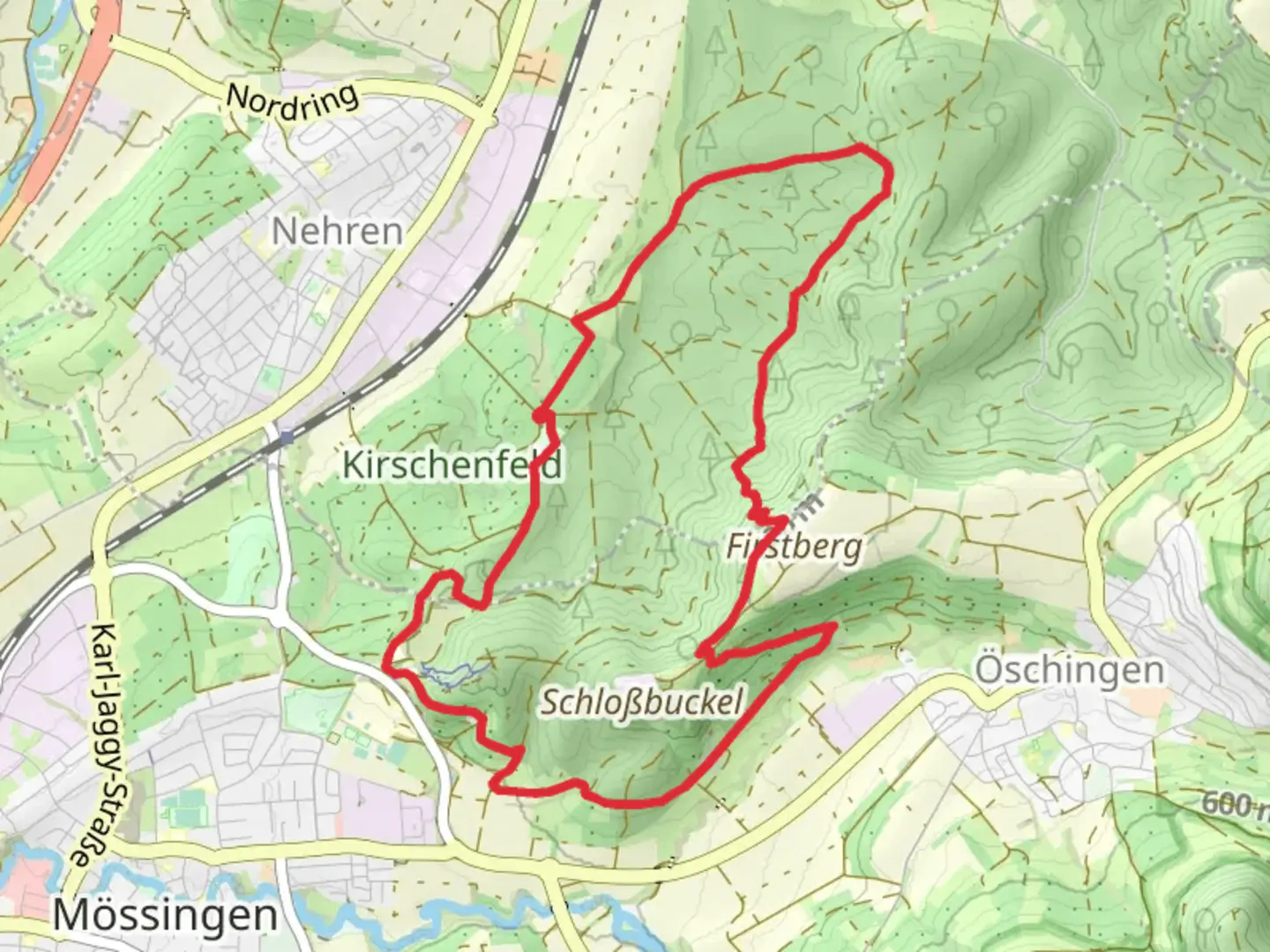 An image depicting the trail Firstwaldrunde Loop and its surrounding area.