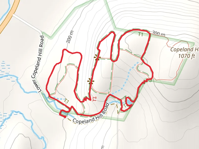 Ravine Trail and Orange Trail Loop