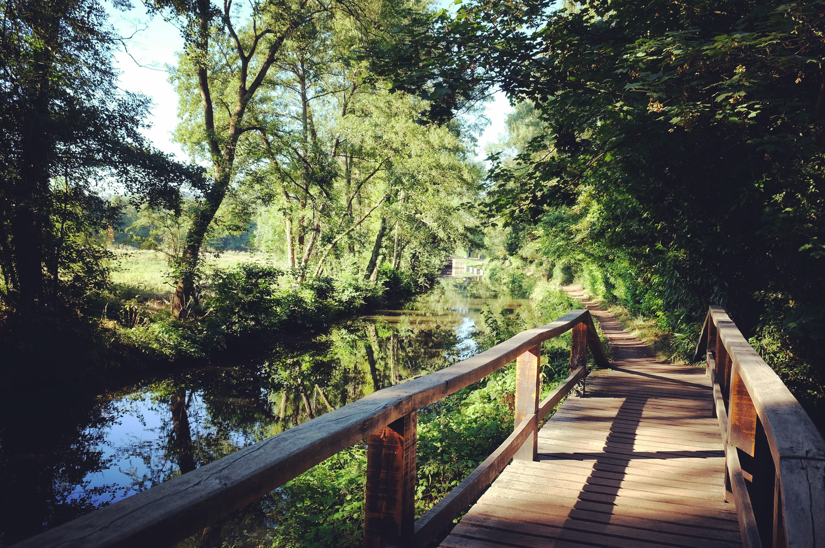 An image depicting the trail River Wey Path and its surrounding area.