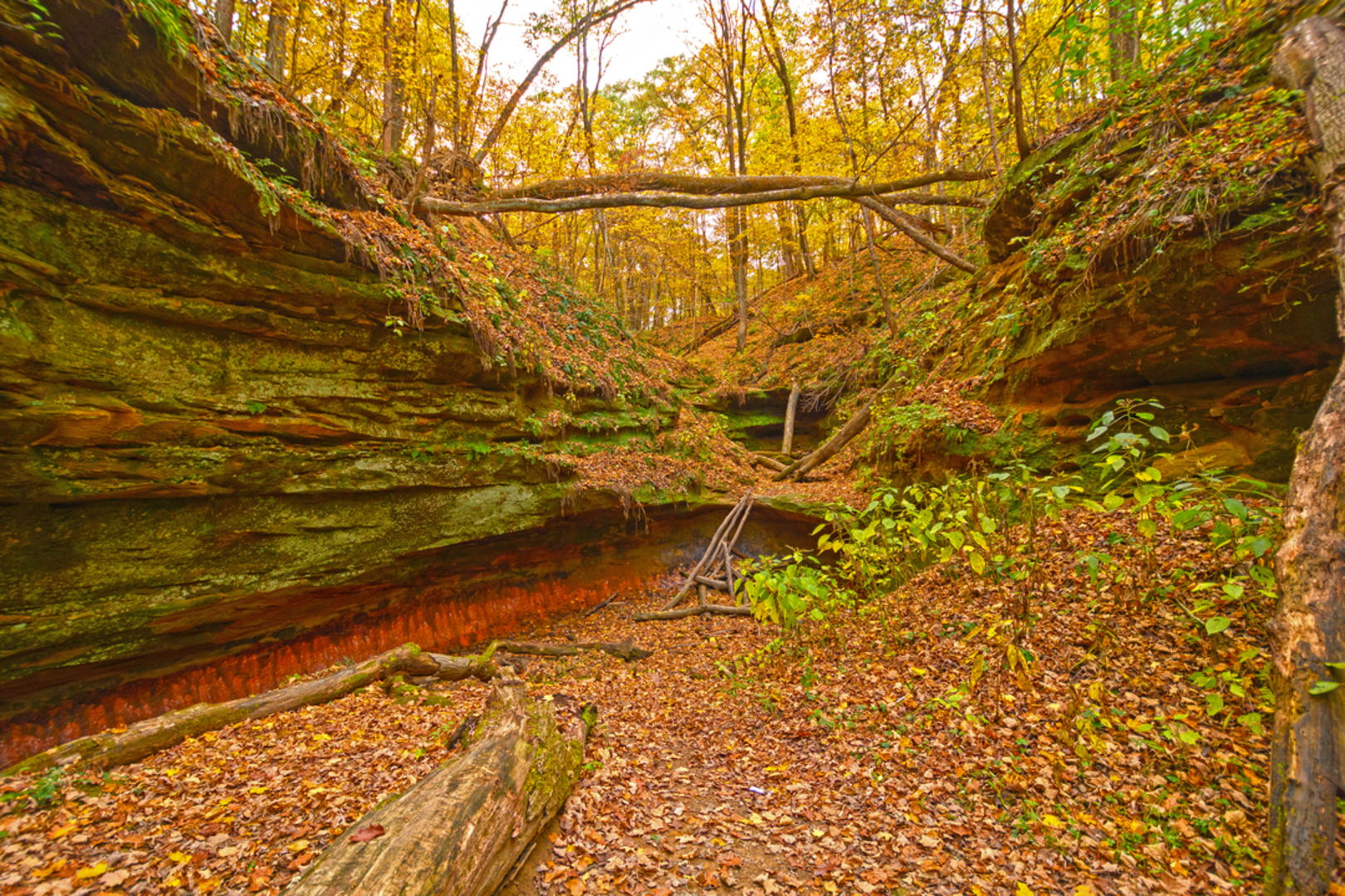 An image depicting the trail Wildcat Den State Park Loop and its surrounding area.