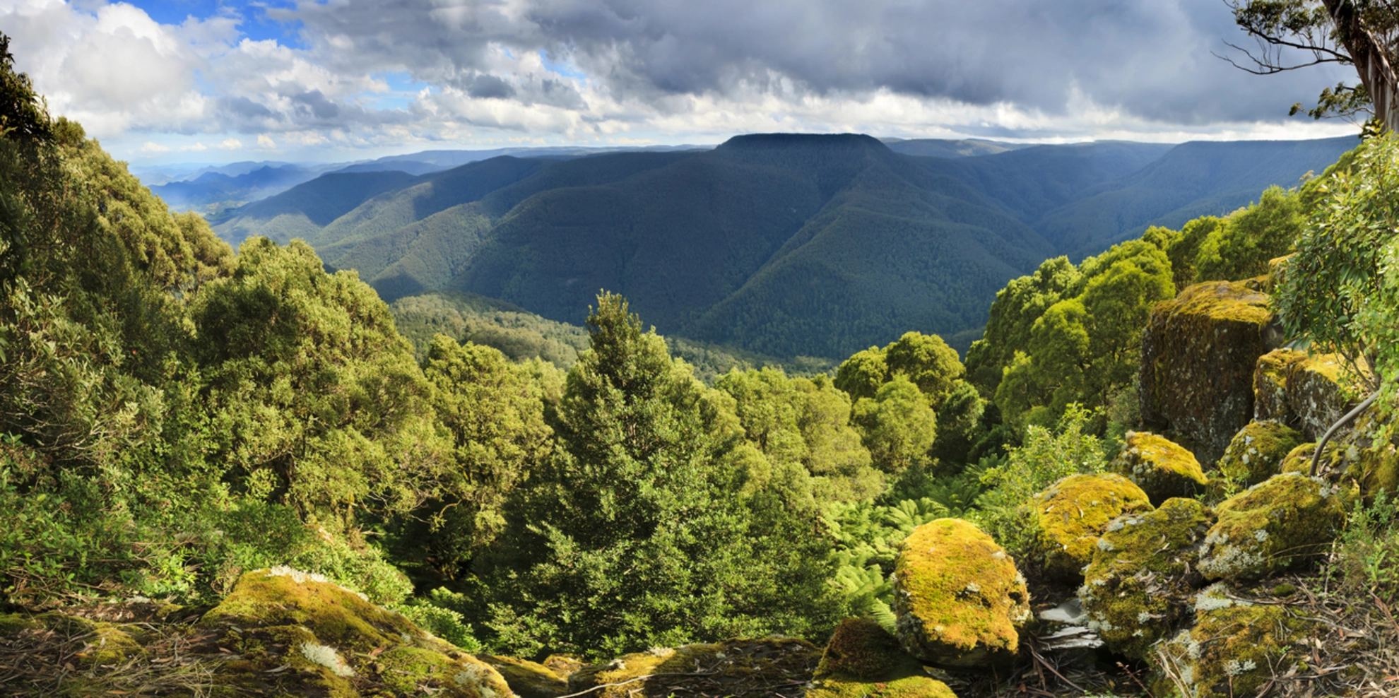 An image depicting the trail Thunderbolts Lookout Track and its surrounding area.