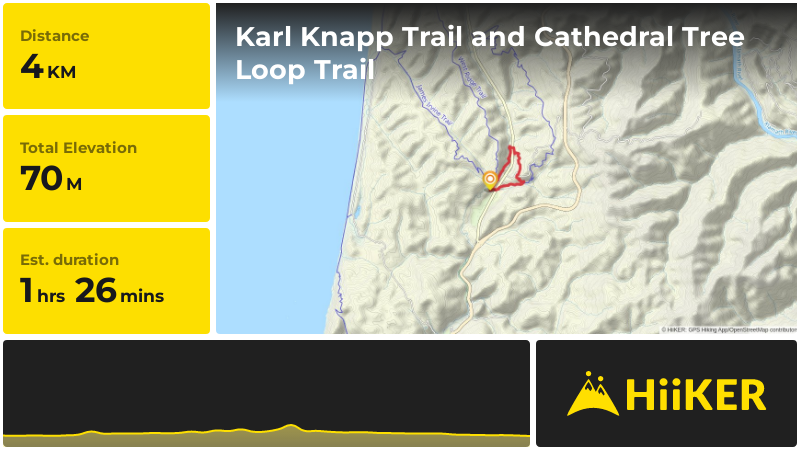 Karl Knapp Trail and Cathedral Tree Loop Trail | Humboldt County | Cal