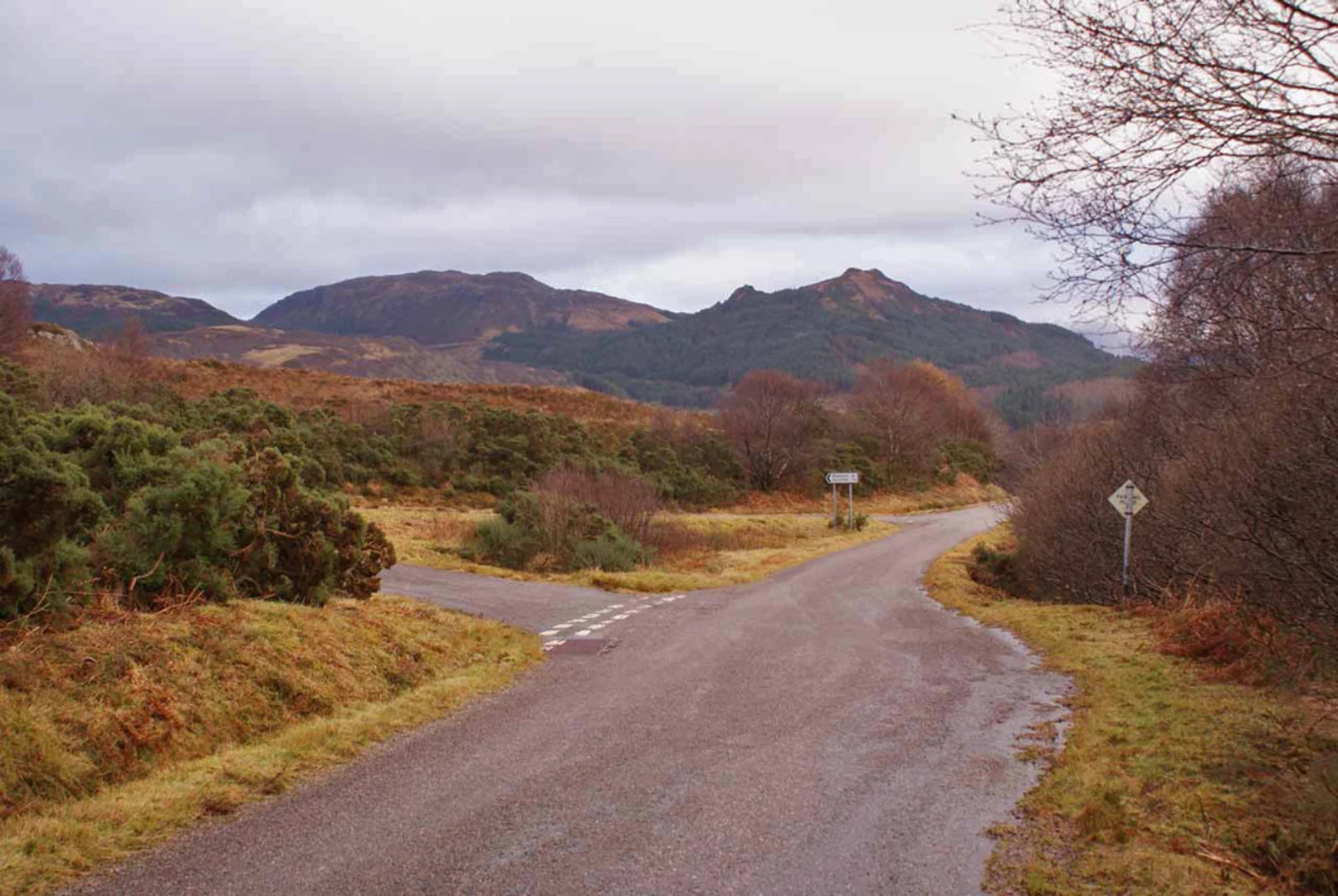 An image depicting the trail Skye View Loop Trail and its surrounding area.