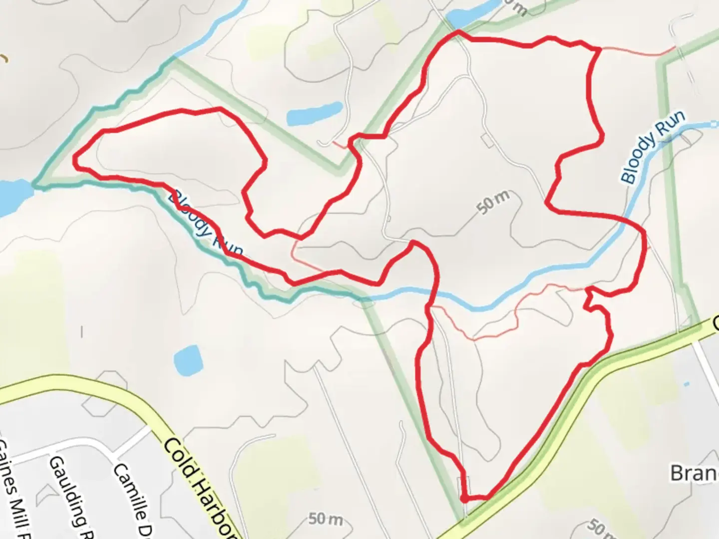 An image depicting the trail Main and Western Loop Trail and its surrounding area.