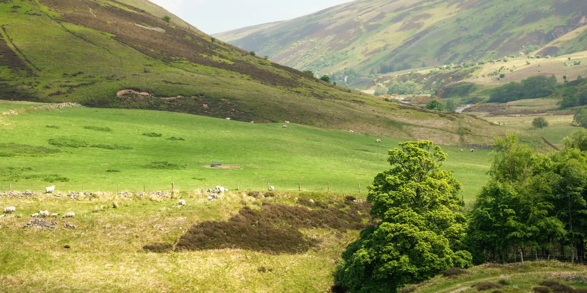 An image depicting the trail Comb Fell and Hedgehope Hill from Langleeford and its surrounding area.