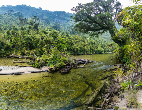 Paparoa Track