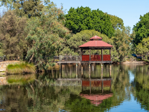 Tomato Lake Walk