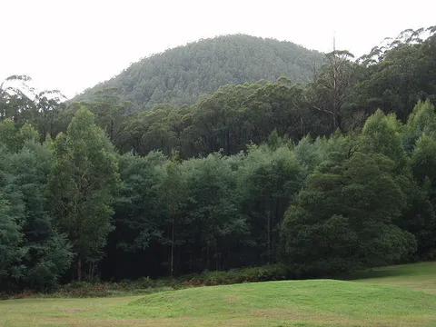 Mount Dom Dom Hermitage Track