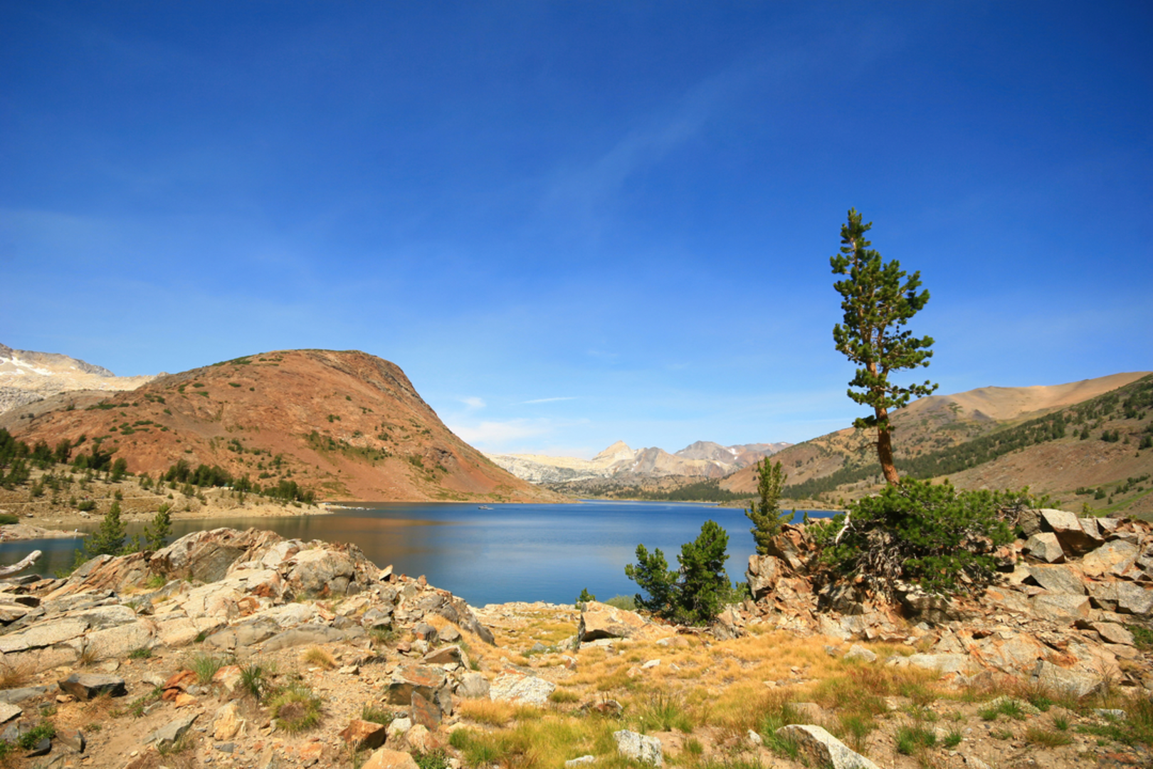 An image depicting the trail 20 Lakes Basin Loop Trail and its surrounding area.