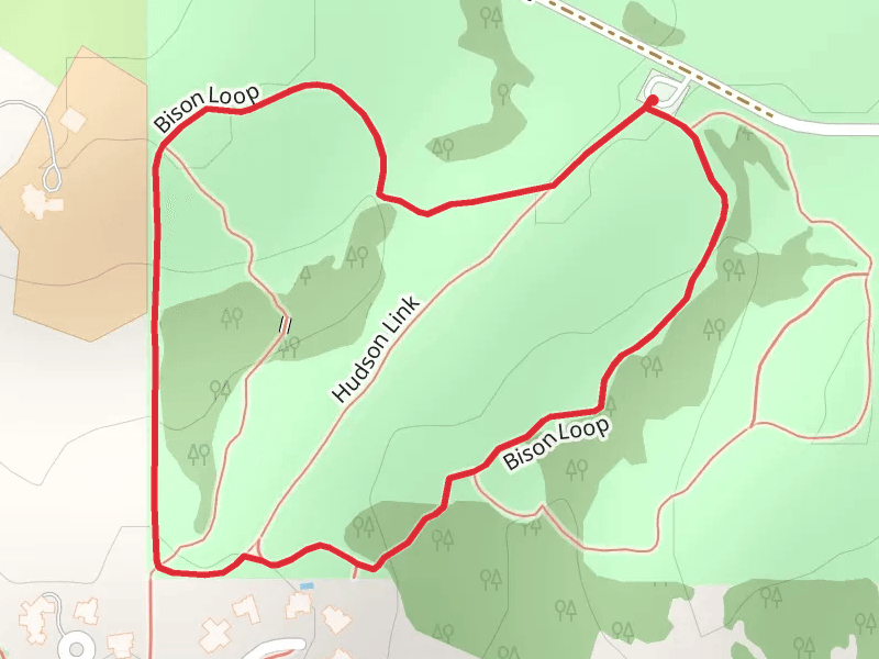 Bison Loop