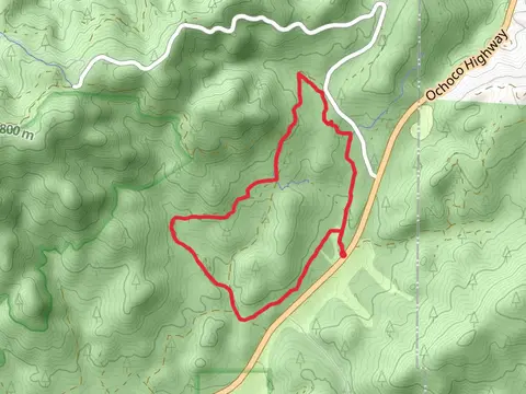 McGinnis Creek Loop Trail