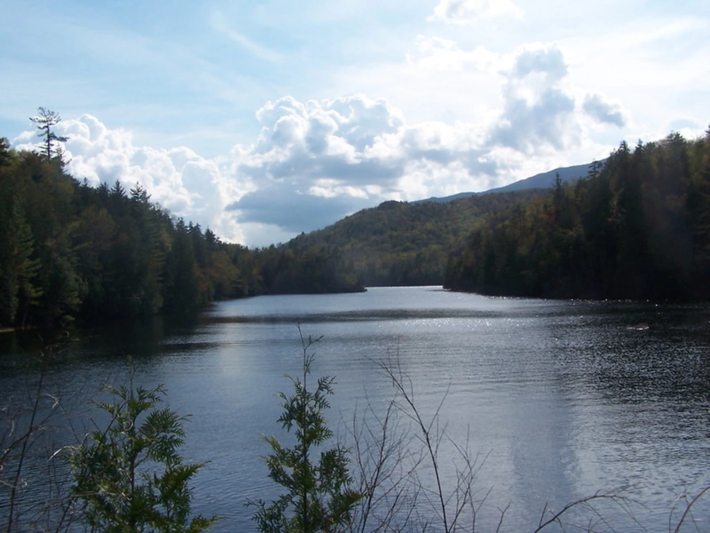 An image depicting the trail Upper Preston Pond and Henderson Lake and its surrounding area.