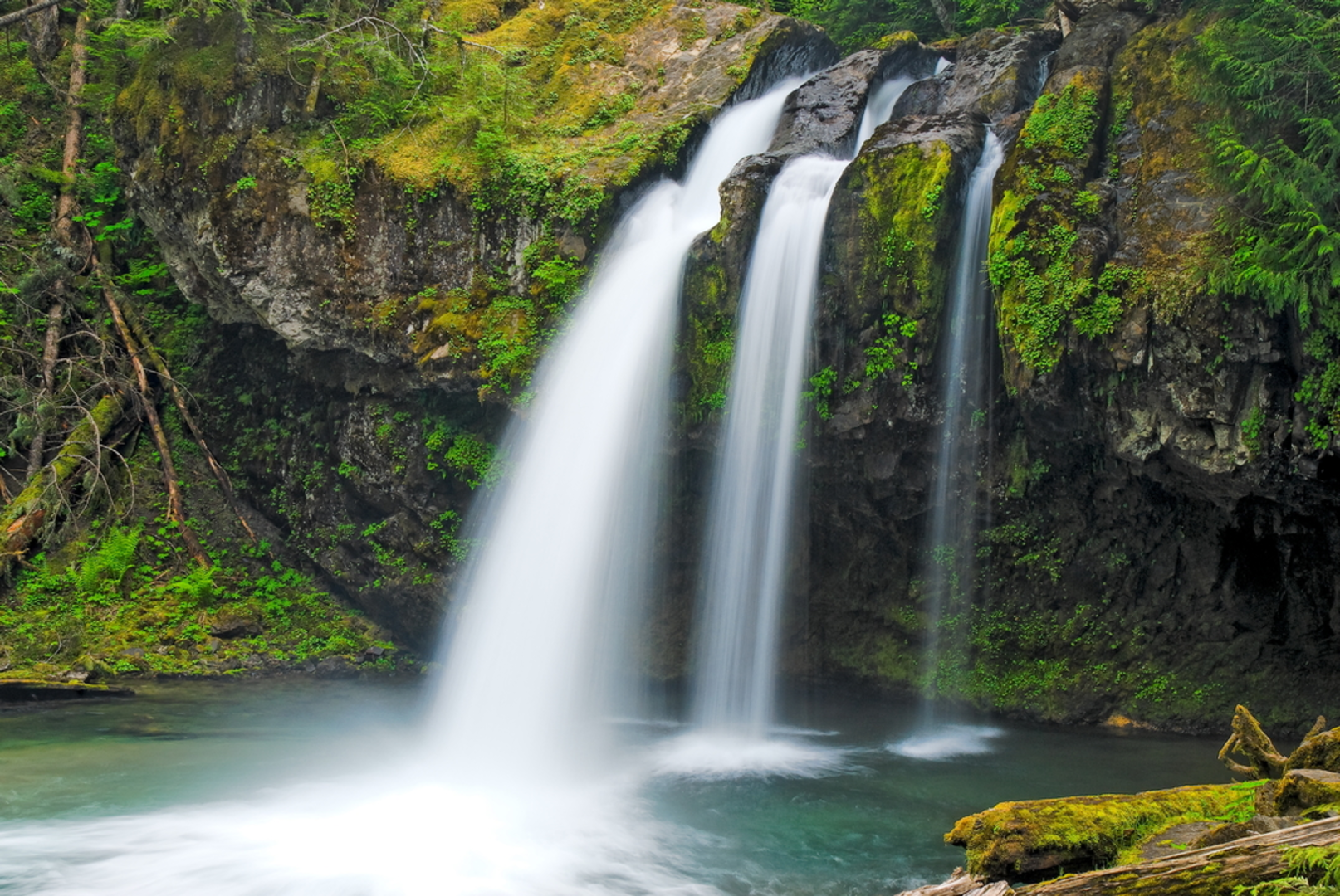 An image depicting the trail Iron Creek Falls Trail and its surrounding area.