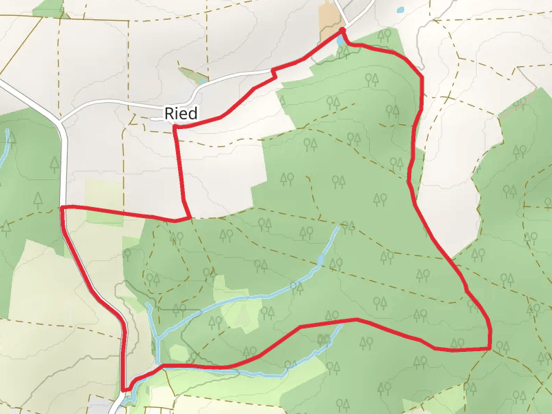 Wallanlage and Tiergarten Loop - Ried