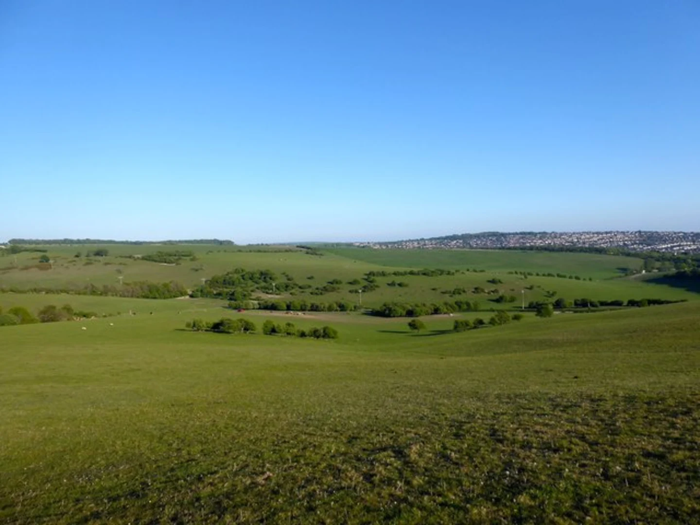 An image depicting the trail Petcham to Lower Standean Loop and its surrounding area.