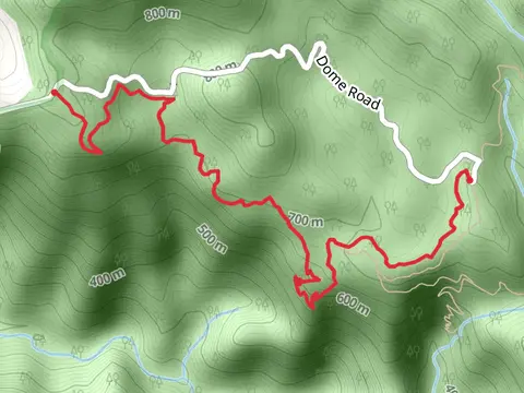Blackbutt Track
