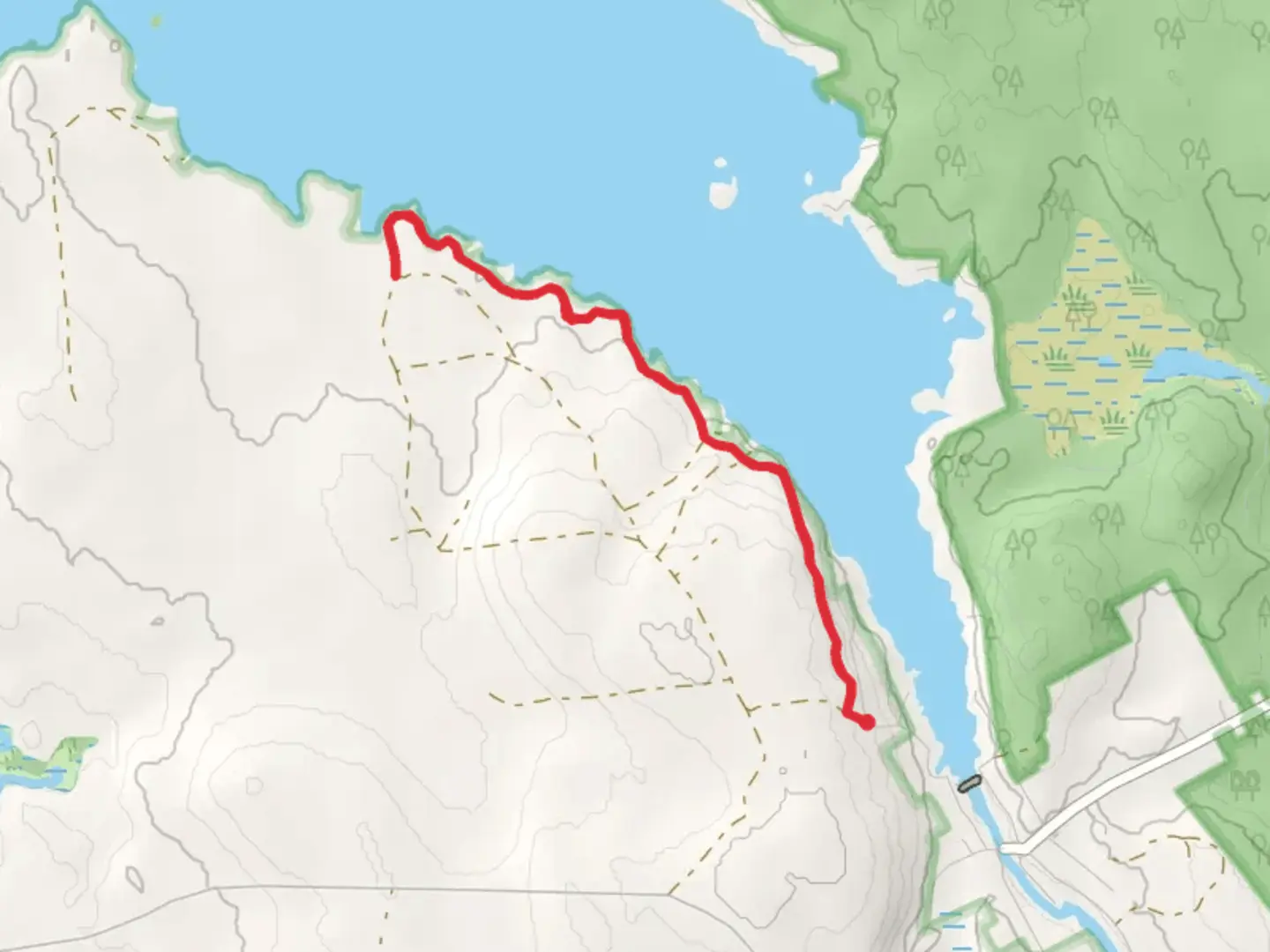 An image depicting the trail Little Mayberry Cove Trail and its surrounding area.