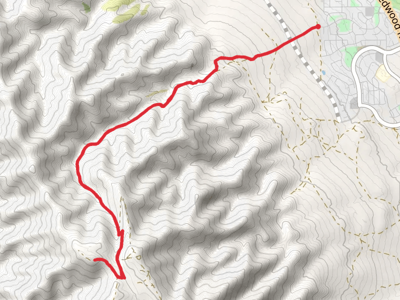 Israel Canyon Walk