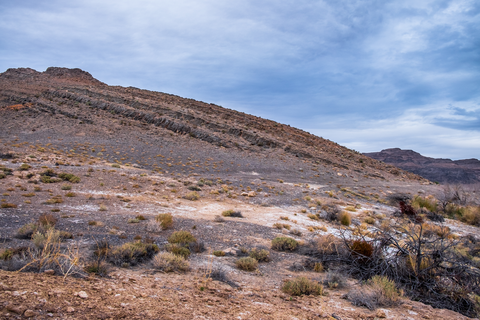 Stewart Creek Loop