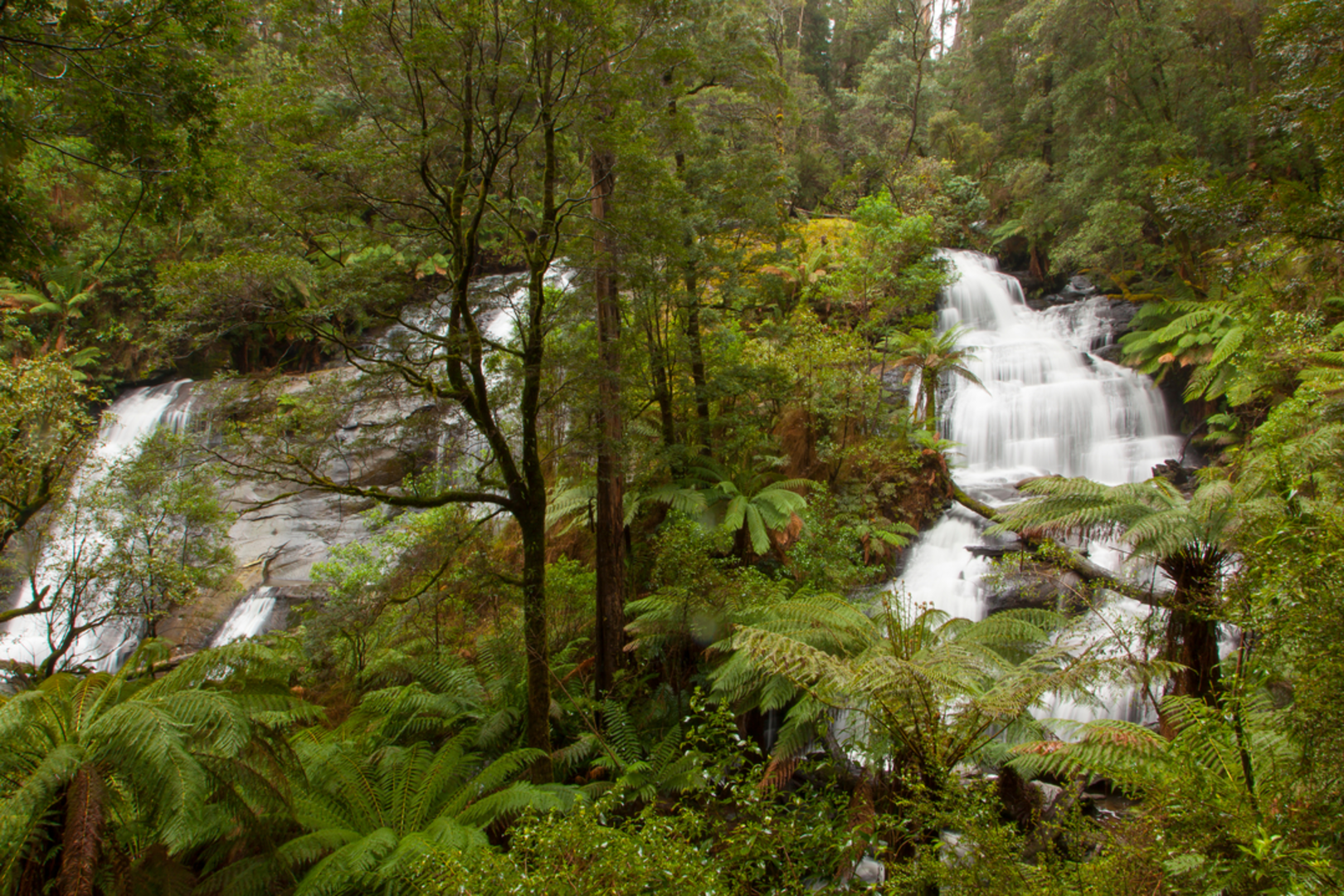 An image depicting the trail Triplet Falls Circuit Trail and its surrounding area.