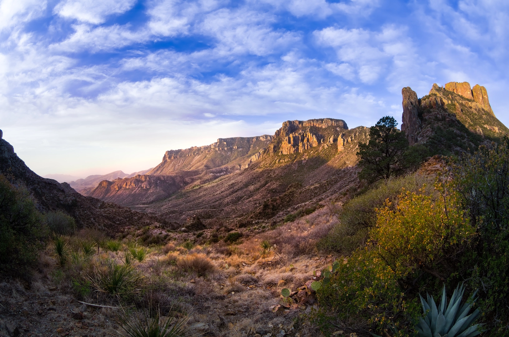 An image depicting the trail Oak Spring to Elephant Tusk and its surrounding area.