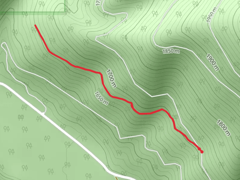 Hughes Creek Trail