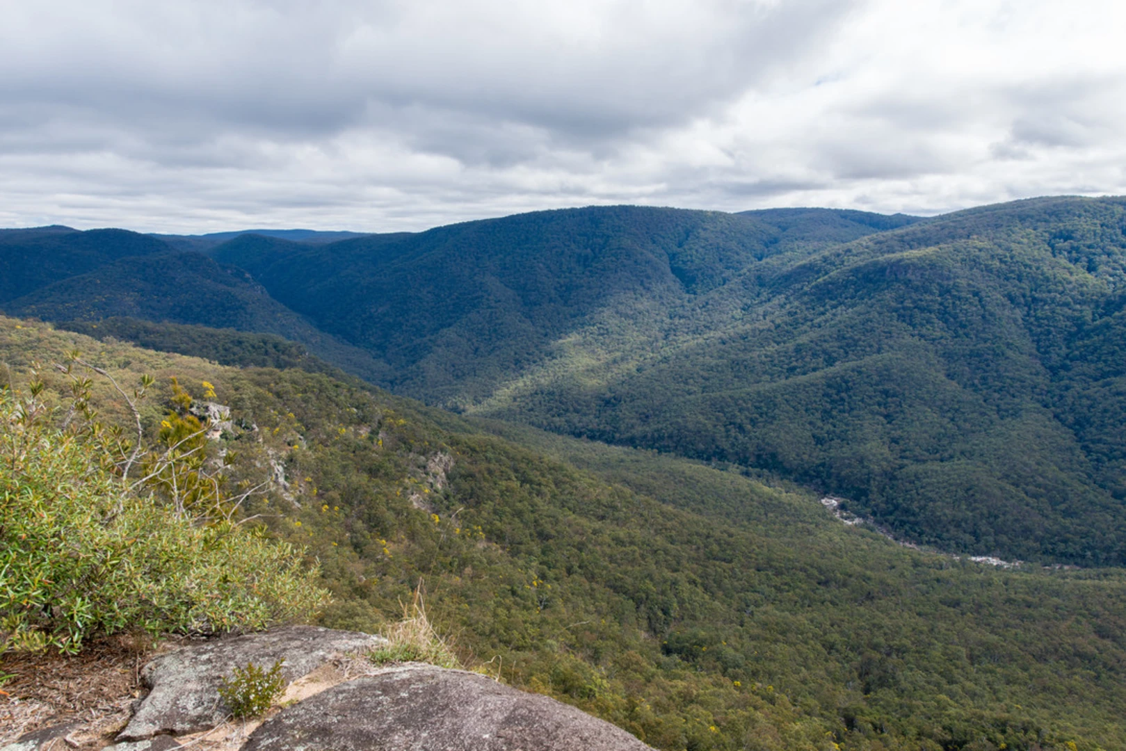An image depicting the trail Tommys Rock Lookout and Track and its surrounding area.