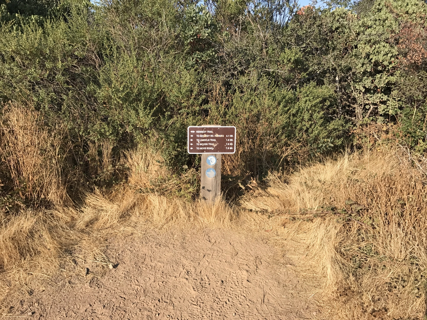 An image depicting the trail Mt El Sombroso via Woods Trail and its surrounding area.