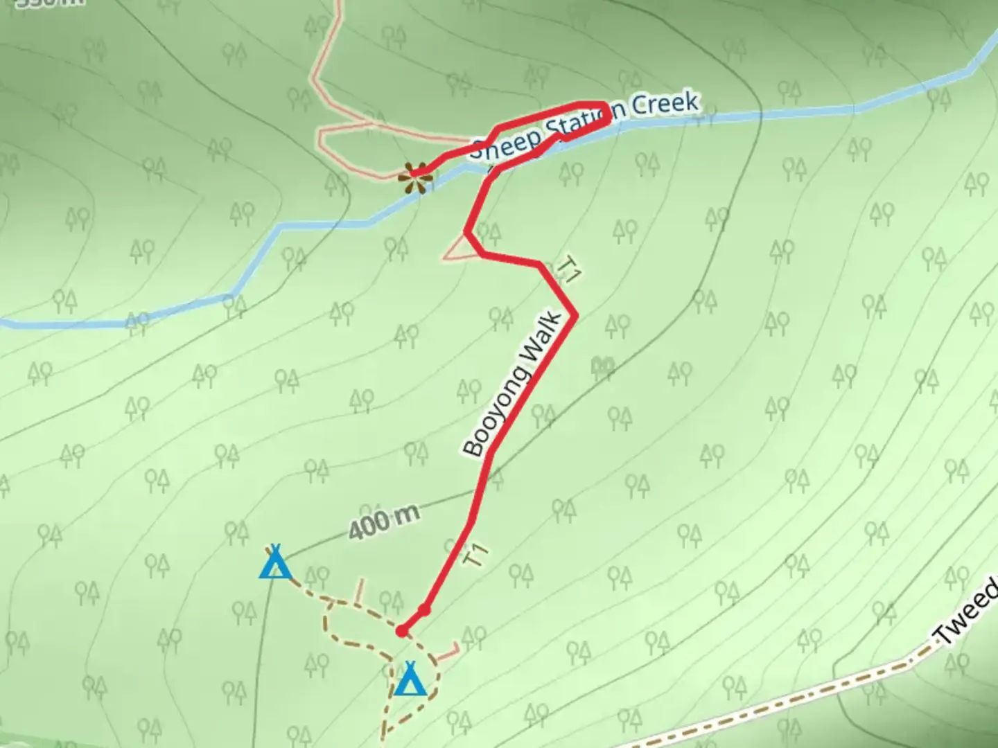 An image depicting the trail Palm Forest Track and its surrounding area.