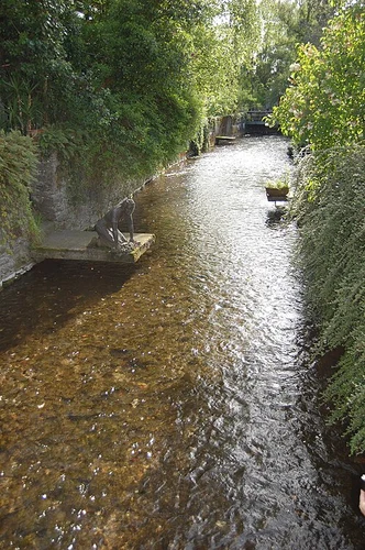 Bad Lippspringe Loop