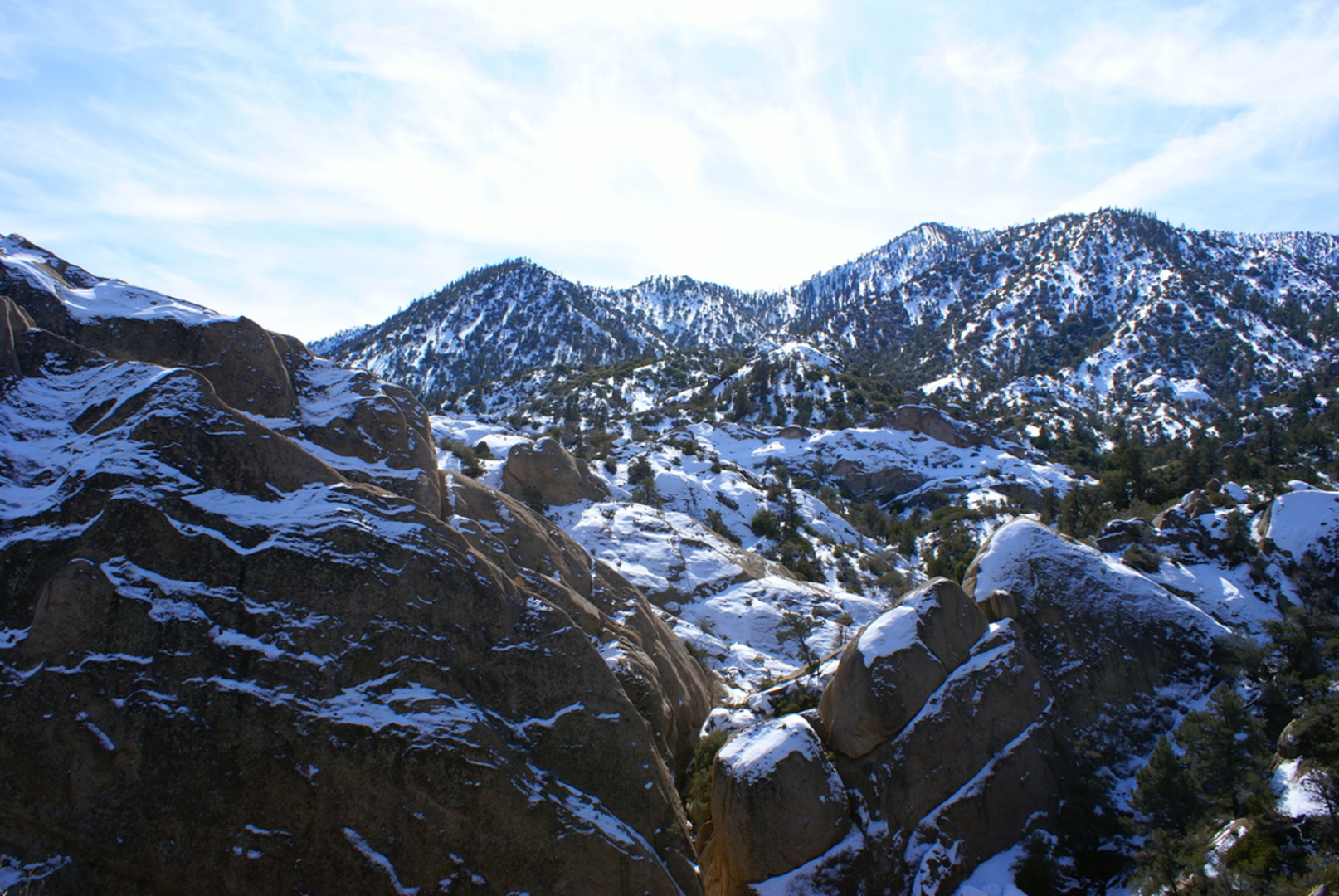 An image depicting the trail South Fork Trail and its surrounding area.