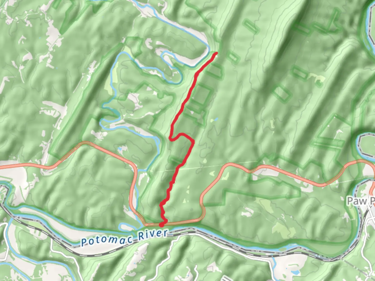 An image depicting the trail Big Run Walk and its surrounding area.
