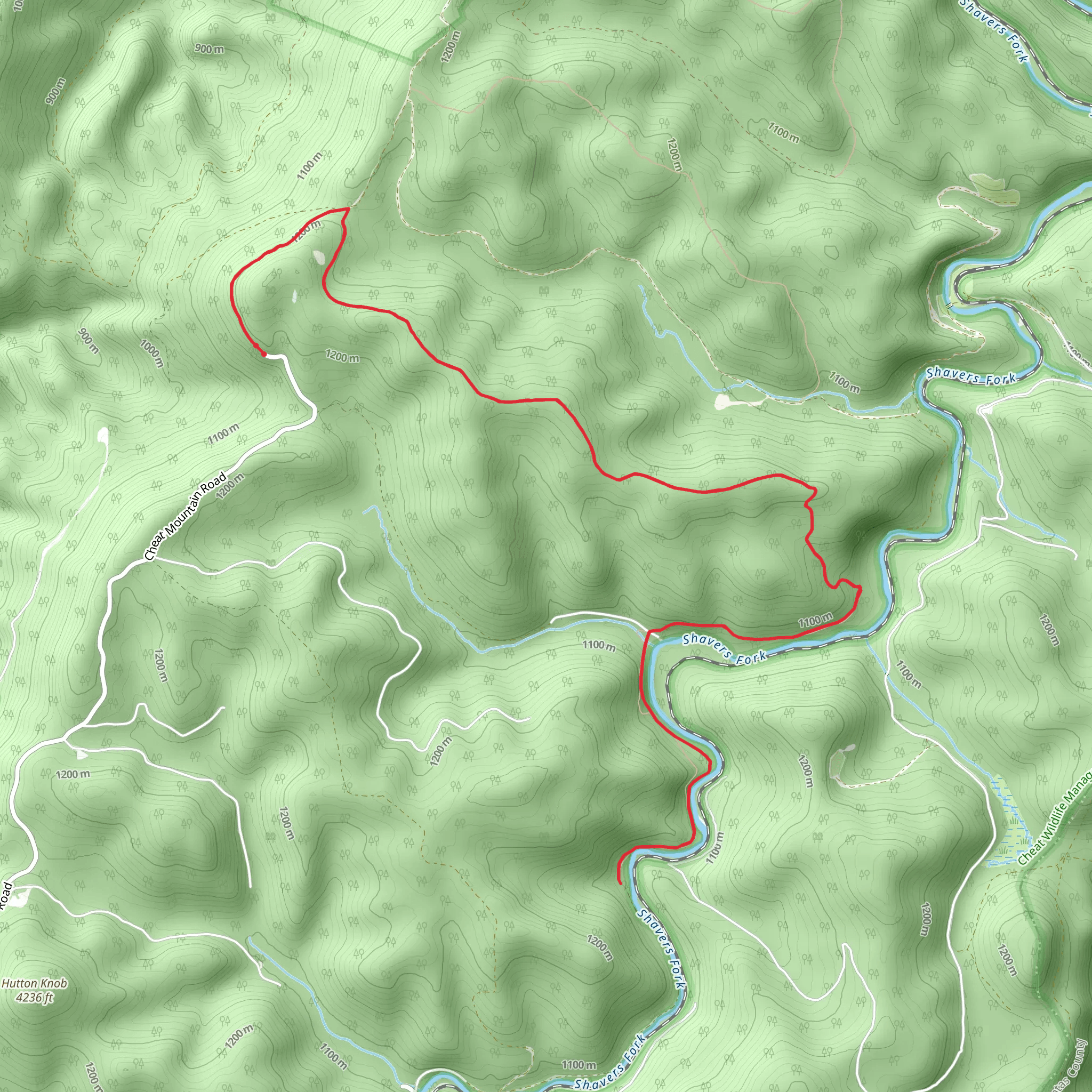 Shavers Fork Trail mobile static map