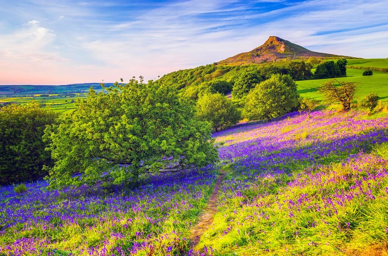Roseberry Well, Cockshaw Hill and Captain Cook Monument Loop