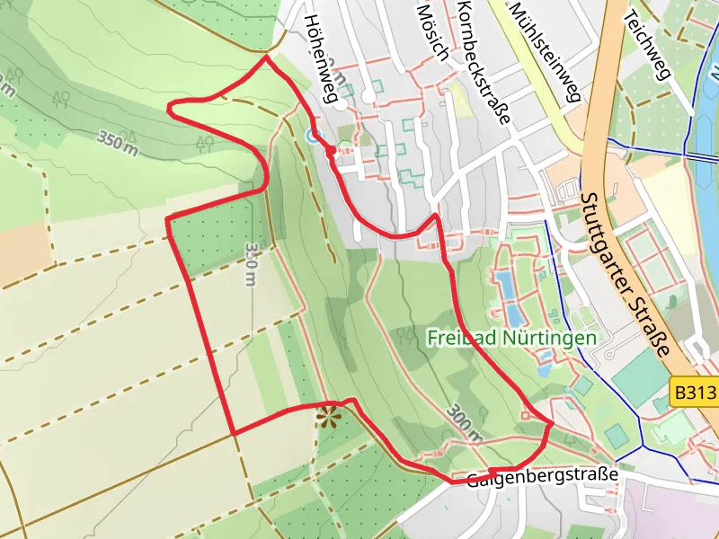 Hochgehblickt and Unterensingen Loop