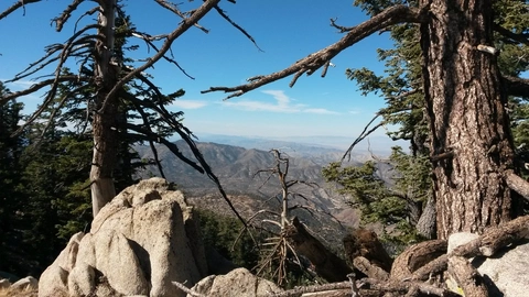 Twin Peaks Trail