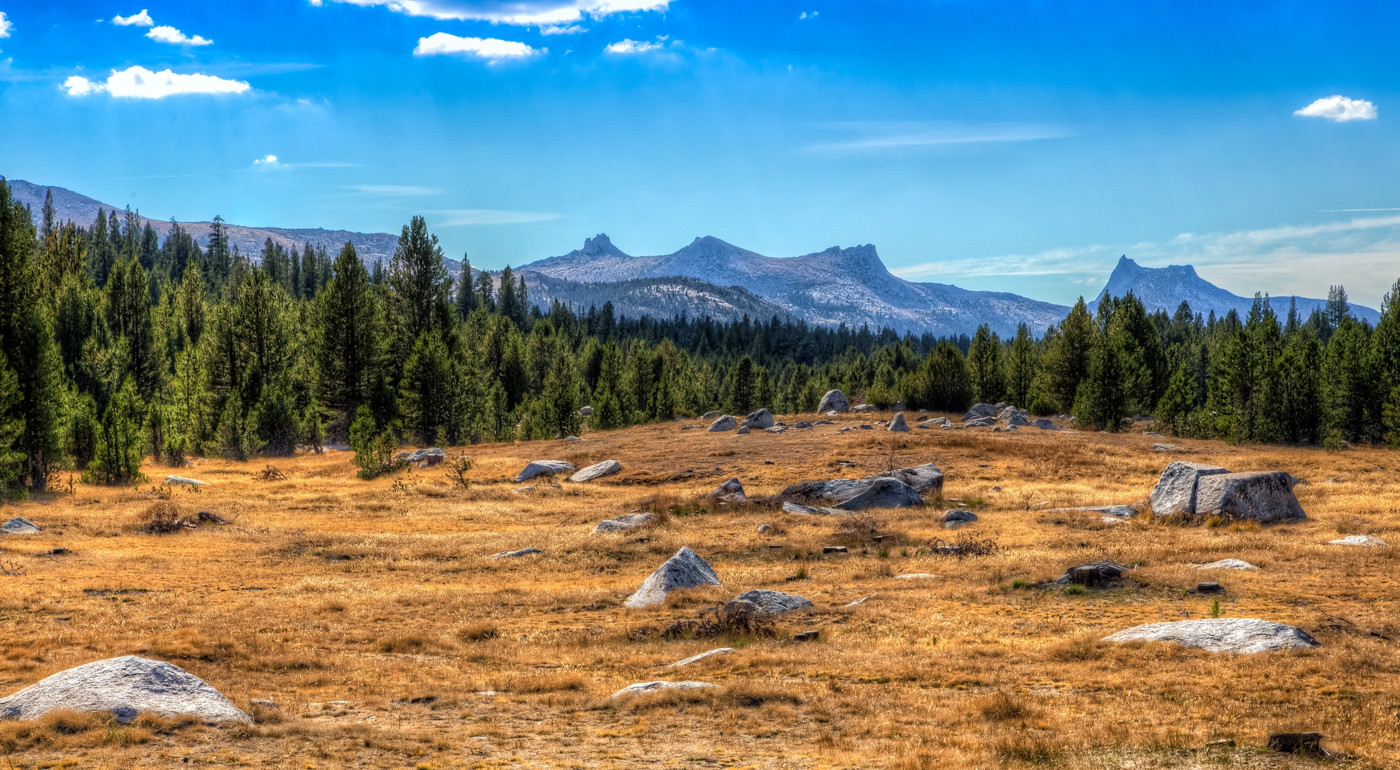 An image depicting the trail Tahoe To Yosemite Trail and its surrounding area.