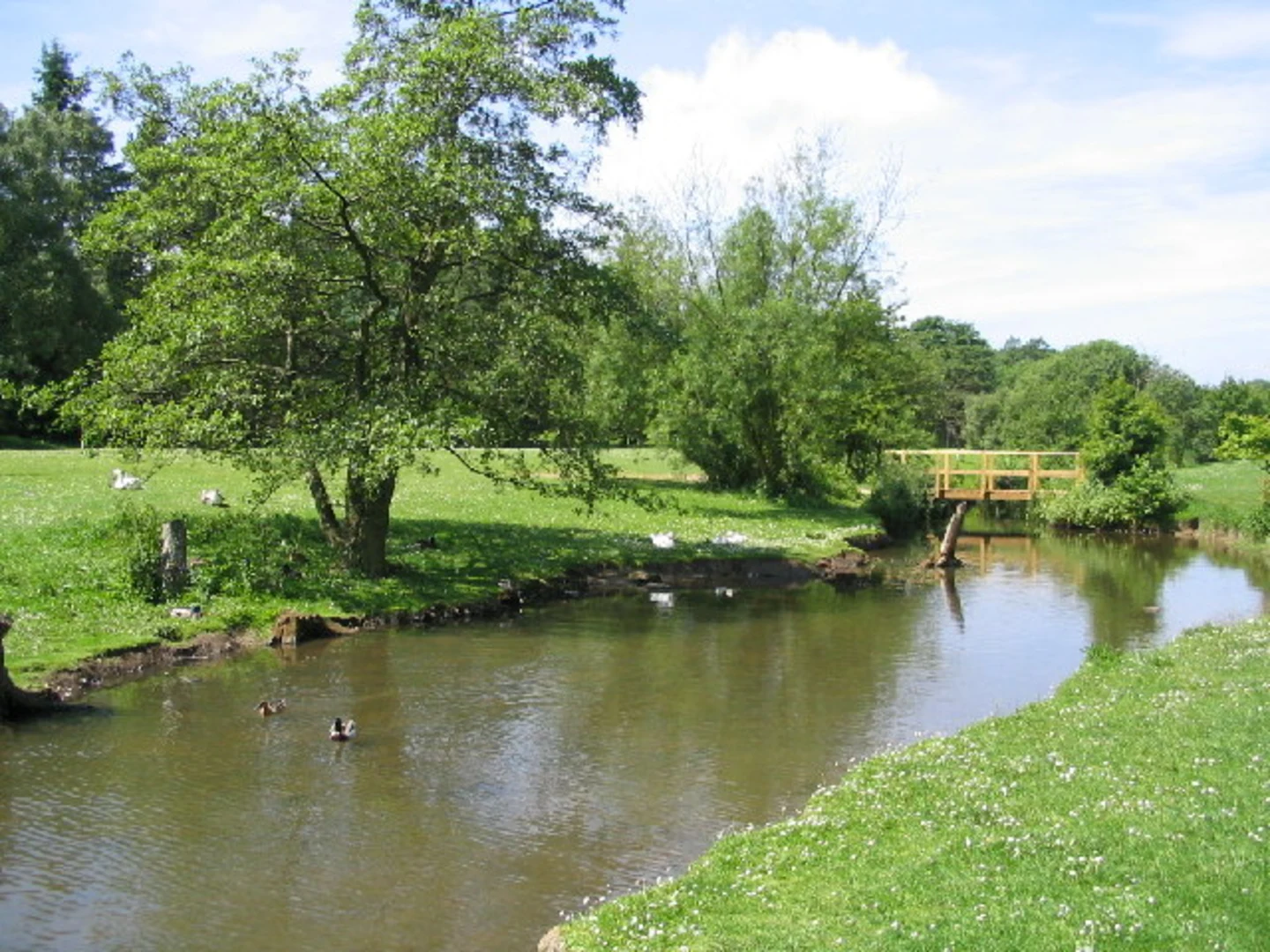An image depicting the trail Golden Acre Park Loop and its surrounding area.
