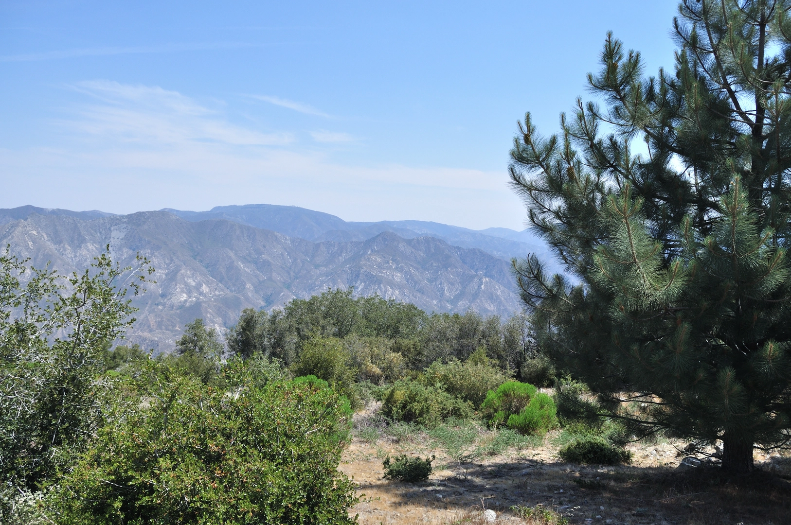 An image depicting the trail Mt Lukens from Angeles Crest Station and its surrounding area.