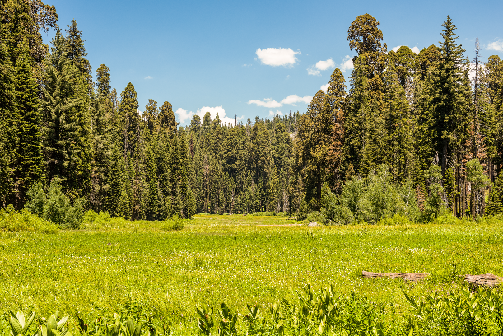 An image depicting the trail Crescent Meadows to Whitney Portal and its surrounding area.