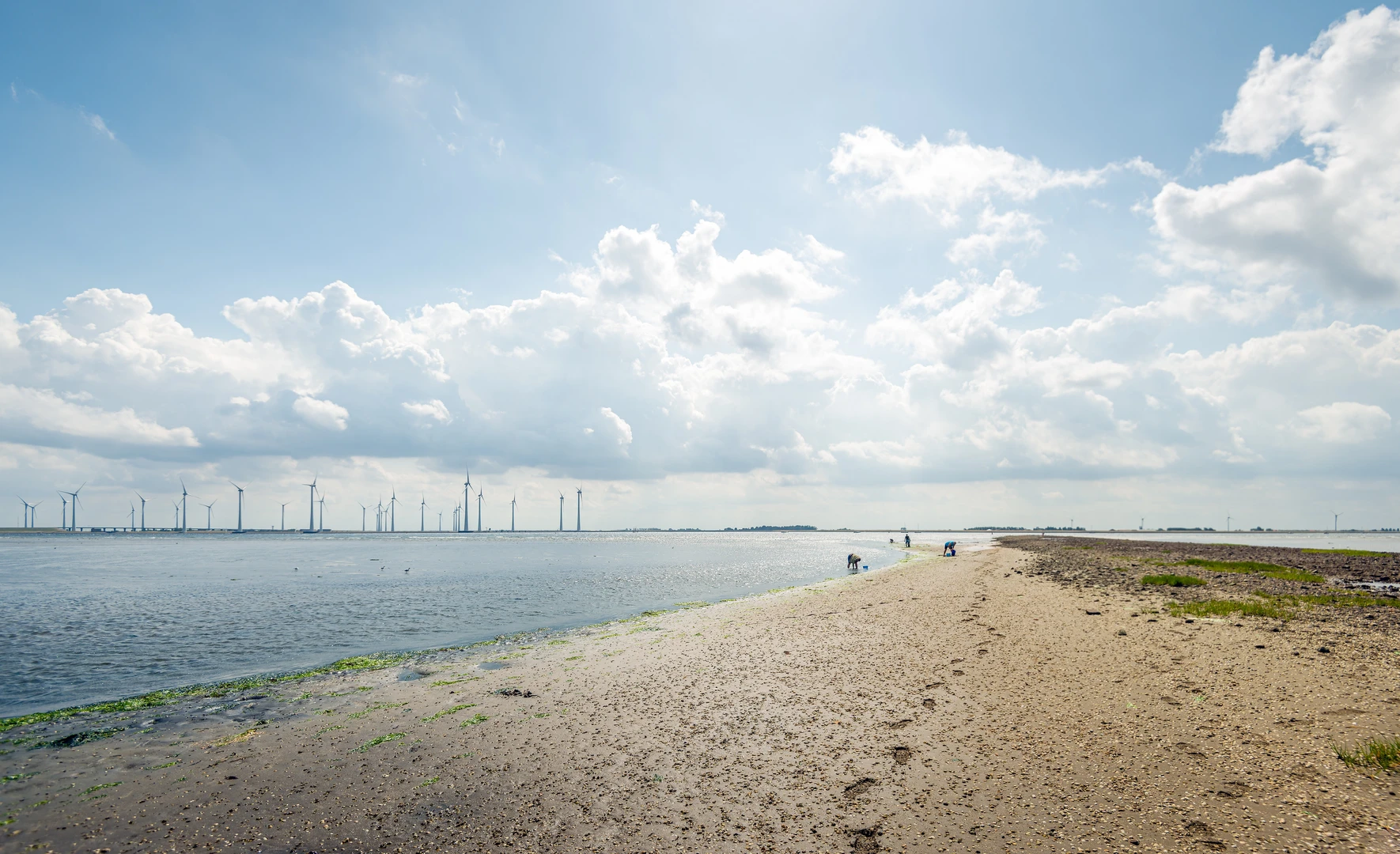 An image depicting the trail E2 Netherlands - Hoek van Holland to Bergen op Zoom and its surrounding area.
